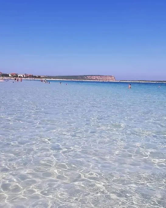 Il Telaio Sardo Bonarcado Villa